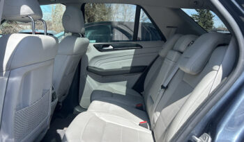 2013 Mercedes-Benz M-Class full
