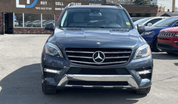 2013 Mercedes-Benz M-Class full