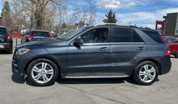 2013 Mercedes-Benz M-Class full