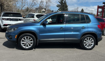 2017 Volkswagen Tiguan full
