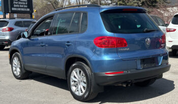 2017 Volkswagen Tiguan full