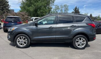 2019 Ford Escape full