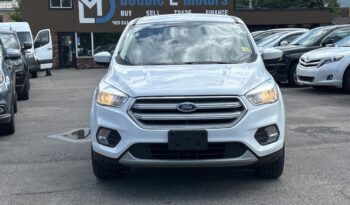 2019 Ford Escape full