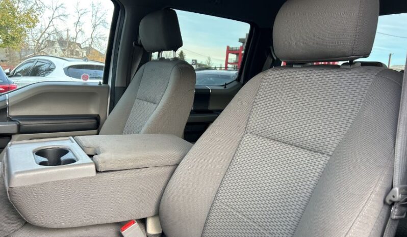 2020 Ford F-150 full