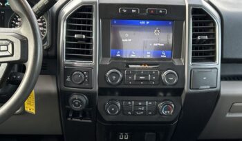 2020 Ford F-150 full