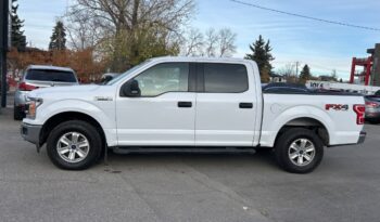 2020 Ford F-150 full