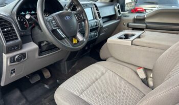 2020 Ford F-150 full