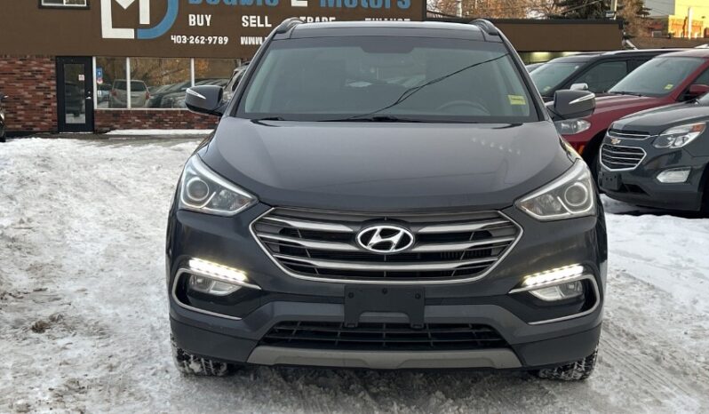 2017 Hyundai Santa Fe Sport full