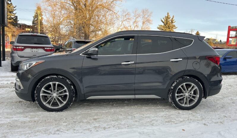 2017 Hyundai Santa Fe Sport full