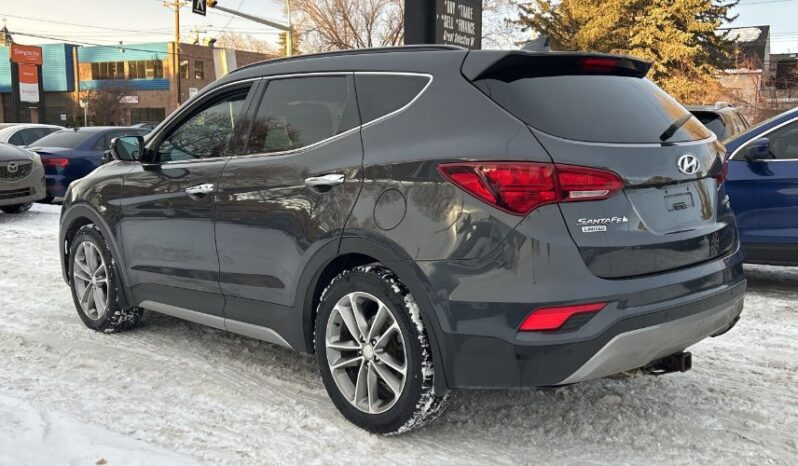 2017 Hyundai Santa Fe Sport full