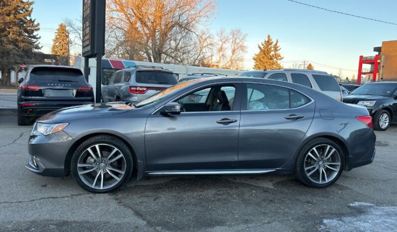 2019 Acura TLX full