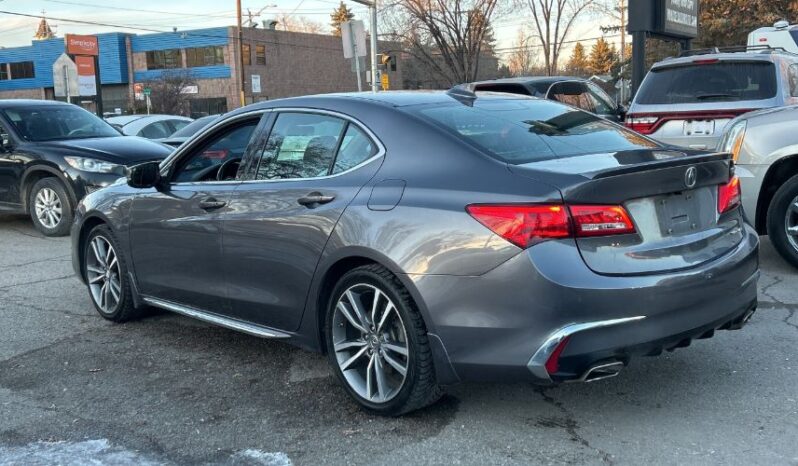 2019 Acura TLX full
