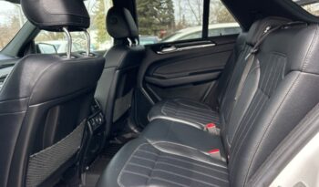 2018 Mercedes-Benz GLE full