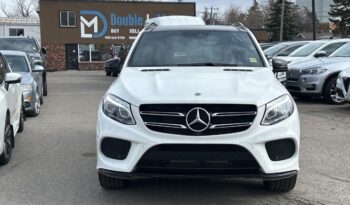 2018 Mercedes-Benz GLE full