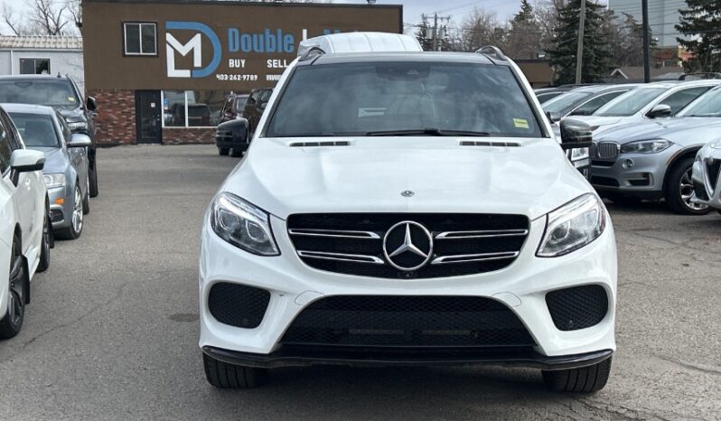 2018 Mercedes-Benz GLE full