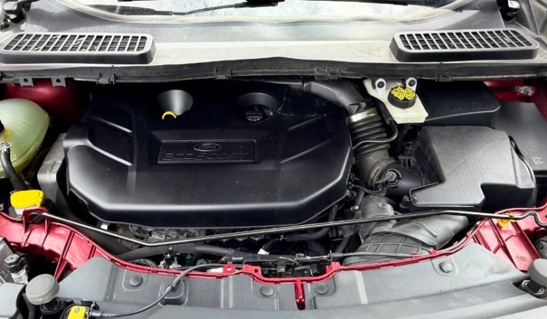 2019 Ford Escape full
