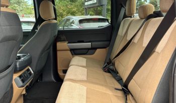 2021 Ford F-150 full