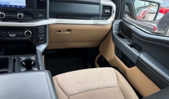 2021 Ford F-150 full