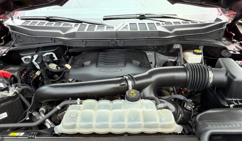 2021 Ford F-150 full