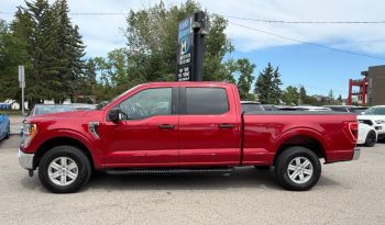 2021 Ford F-150 full